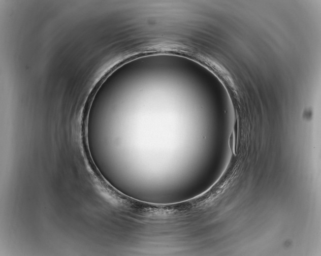 X0000099561039200805161447