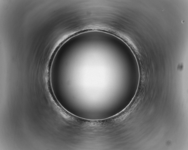 X0000099561040200805161447