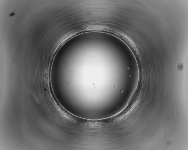 X0000099561041200805161447