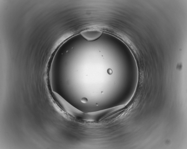 X0000099561042200805161447