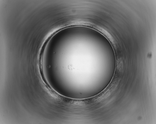 X0000099561043200805161447