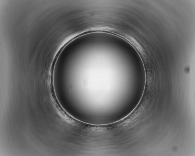 X0000099561044200805161447