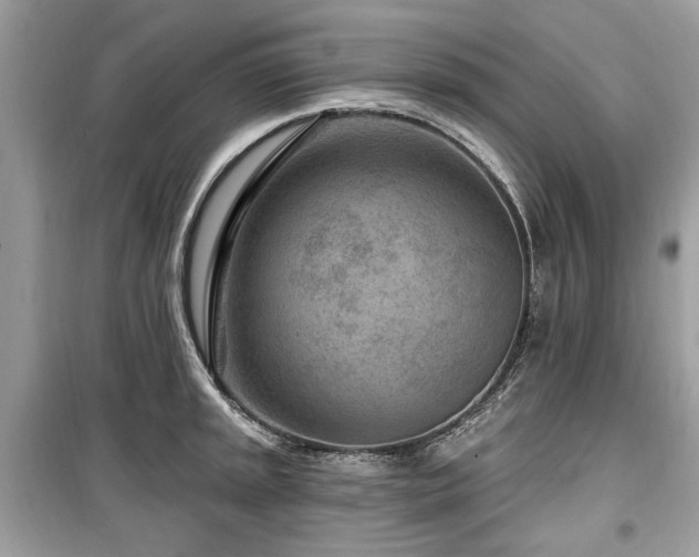 X0000099561045200805161447