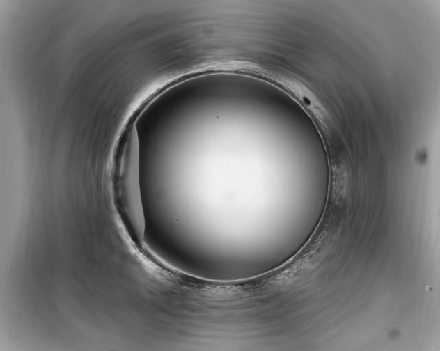 X0000099561046200805161447