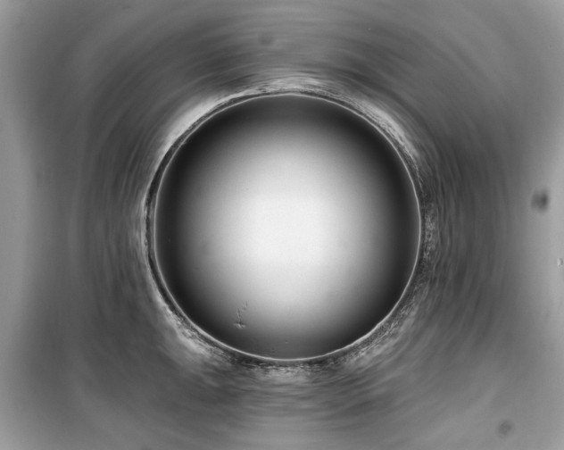 X0000099561047200805161447