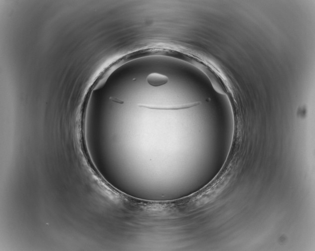 X0000099561048200805161447