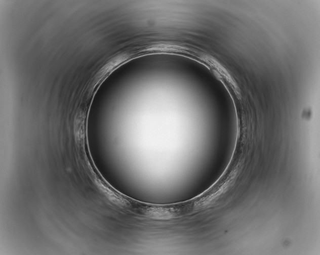 X0000099561049200805161447