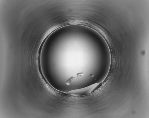 X0000099561050200805161447