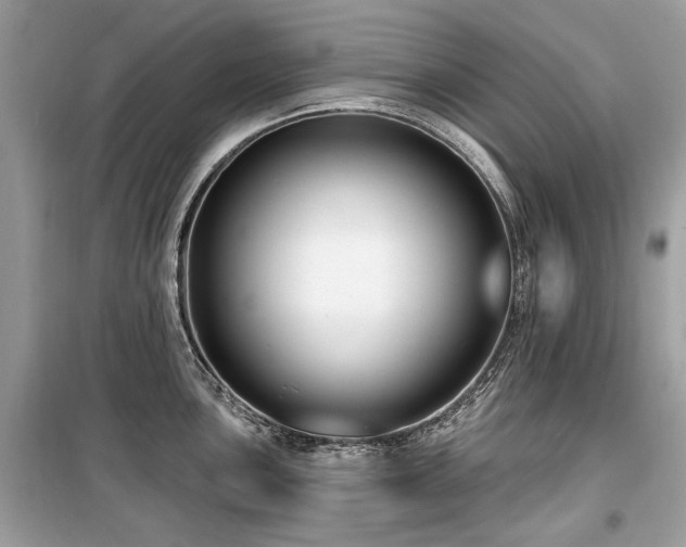 X0000099561051200805161447