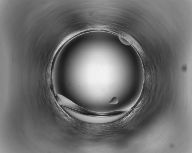 X0000099561052200805161447