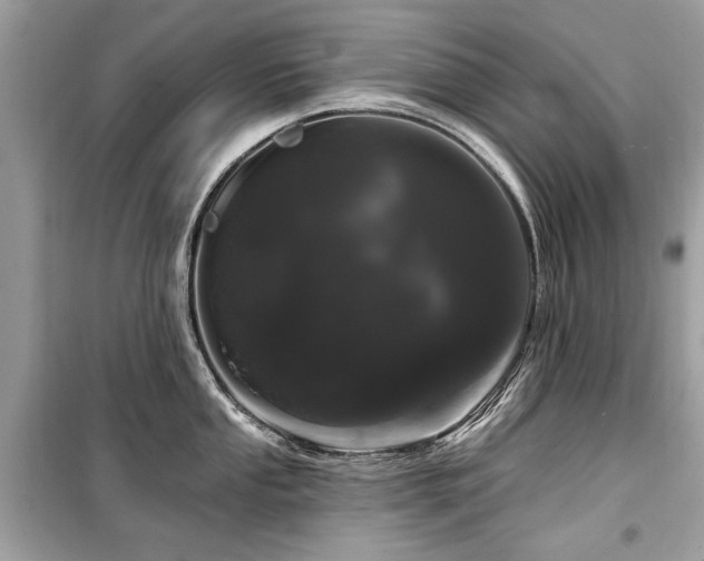 X0000099561053200805161447