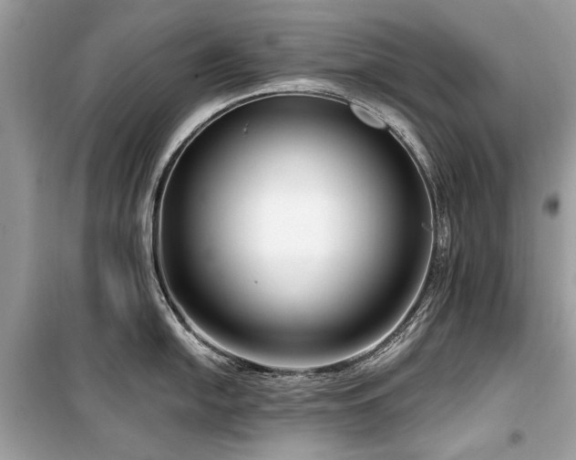 X0000099561054200805161447