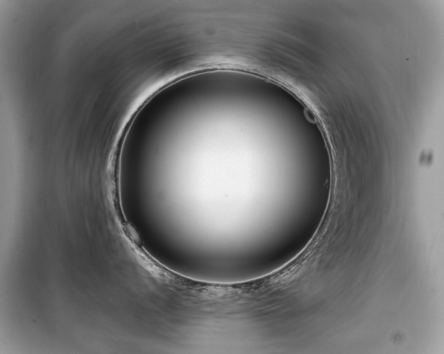 X0000099561056200805161447