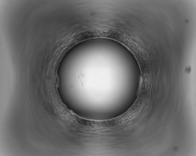 X0000099561057200805161447