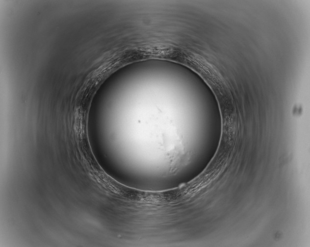 X0000099561058200805161447