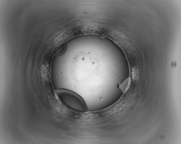 X0000099561059200805161447