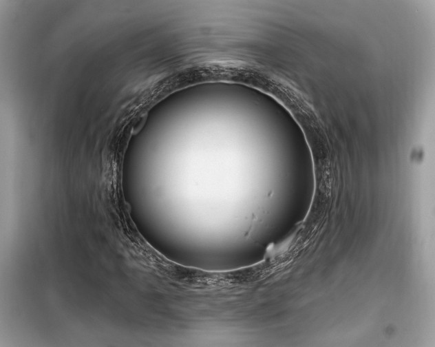 X0000099561061200805161447