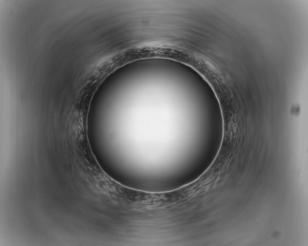 X0000099561062200805161447