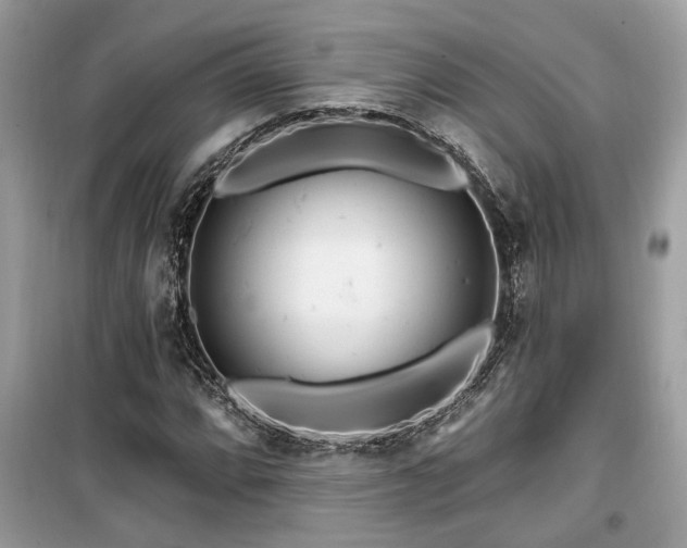 X0000099561064200805161447