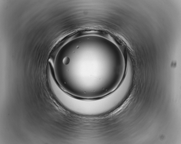 X0000099561065200805161447