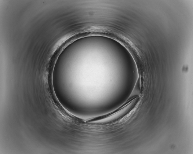 X0000099561066200805161447