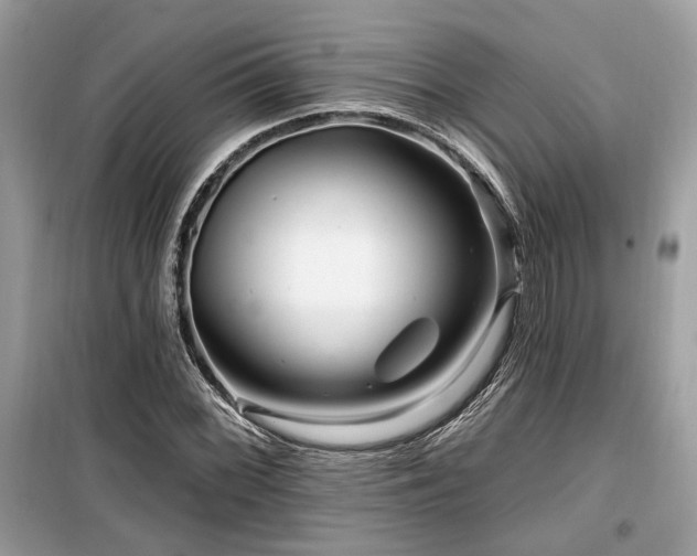 X0000099561068200805161447