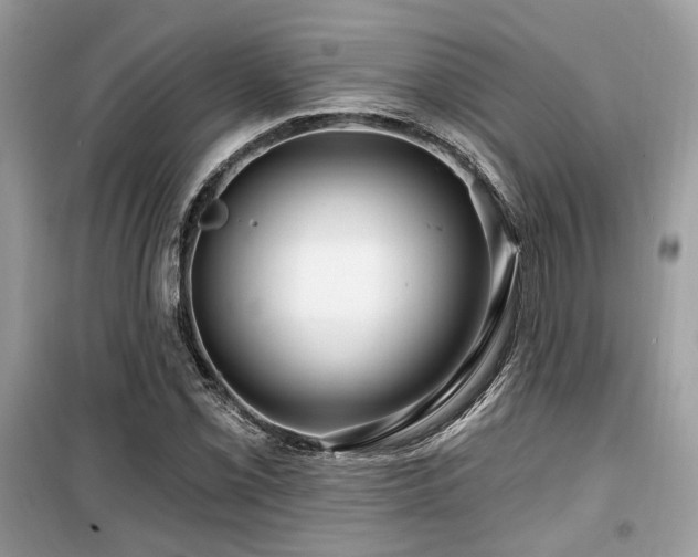 X0000099561069200805161447