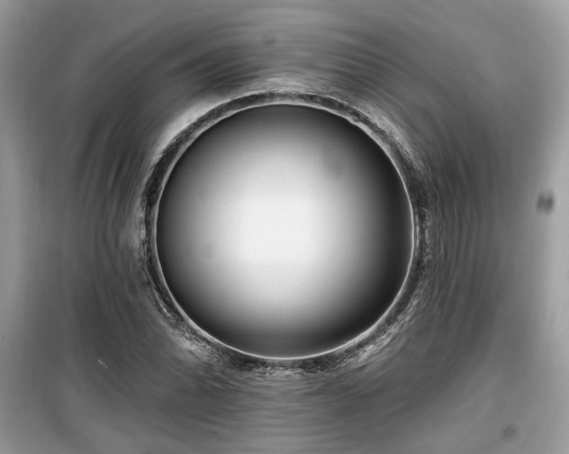 X0000099561070200805161446