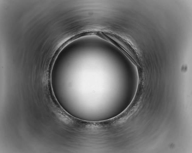X0000099561073200805161446