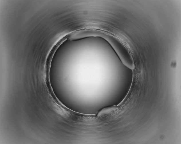 X0000099561076200805161446