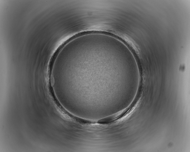 X0000099561077200805161446