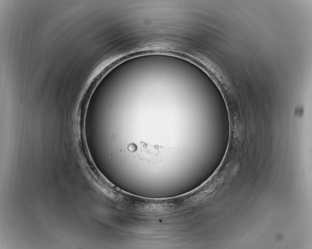 X0000099561078200805161446