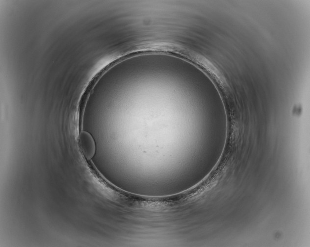 X0000099561079200805161446
