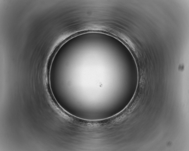 X0000099561080200805161446