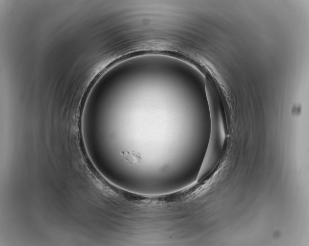 X0000099561081200805161446