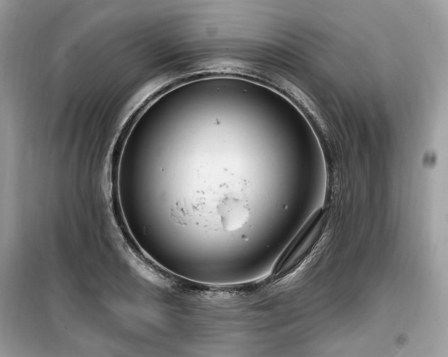 X0000099561082200805161446