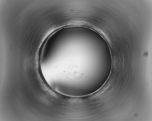 X0000099561083200805161446