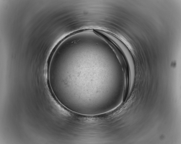 X0000099561084200805161446