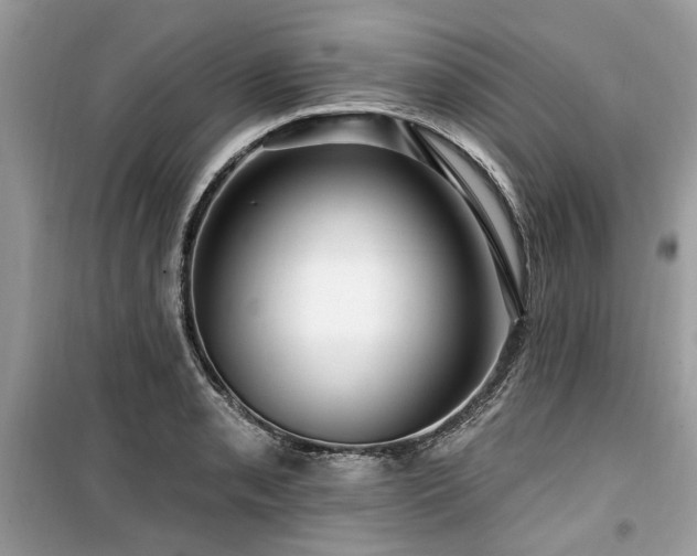 X0000099561085200805161446