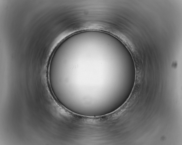 X0000099561086200805161446