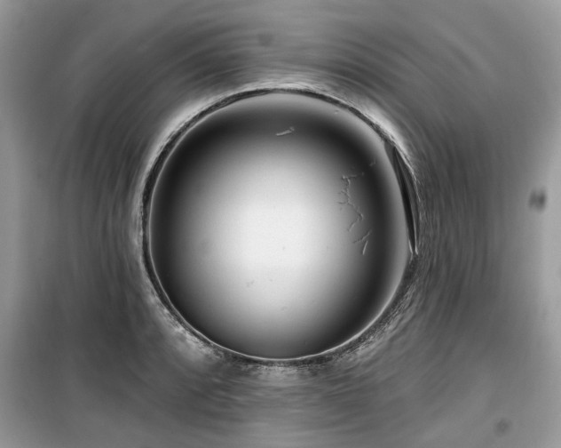 X0000099561088200805161446