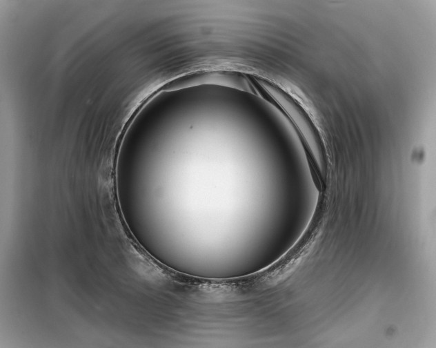 X0000099561089200805161446