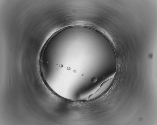 X0000099561091200805161446