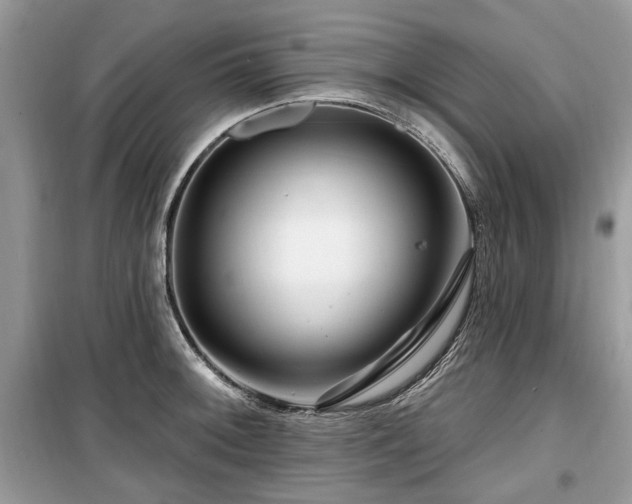 X0000099561092200805161446