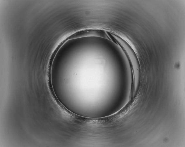 X0000099561093200805161446