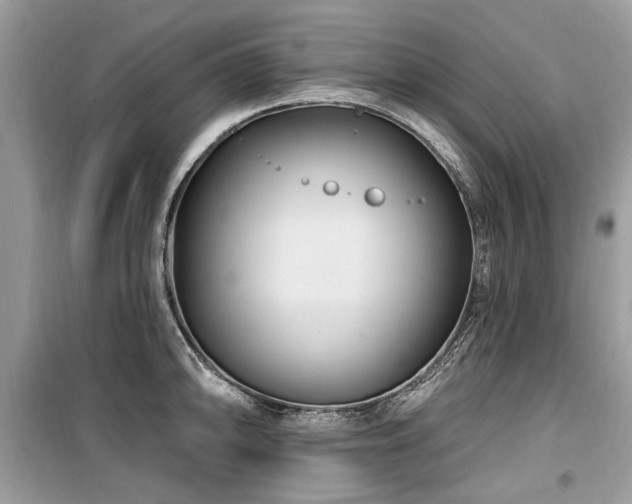 X0000099561094200805161446