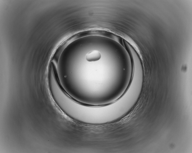 X0000099561096200805161446