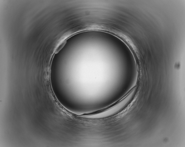X0000099561097200805161446