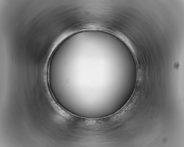 X0000099561098200805161446