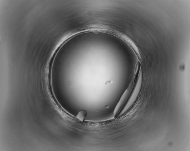 X0000099561099200805161446